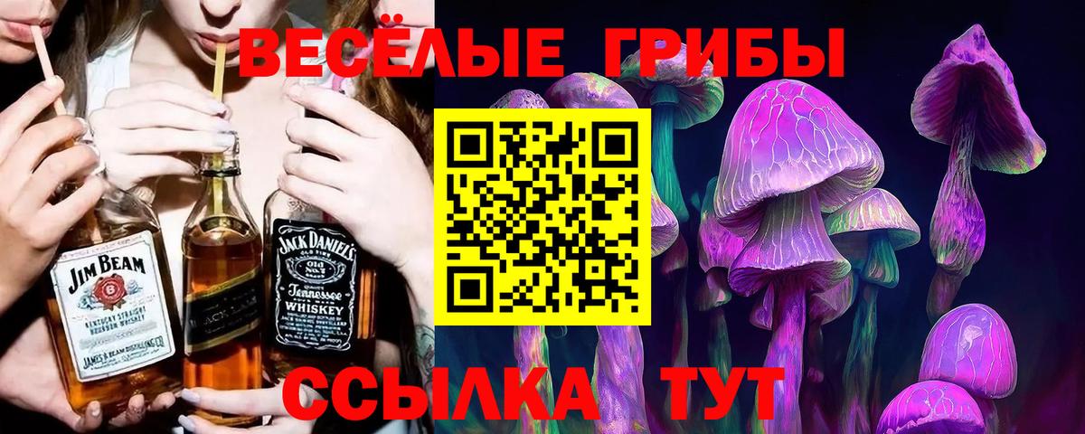 Псилоцибиновые грибы Cubensis Батайск