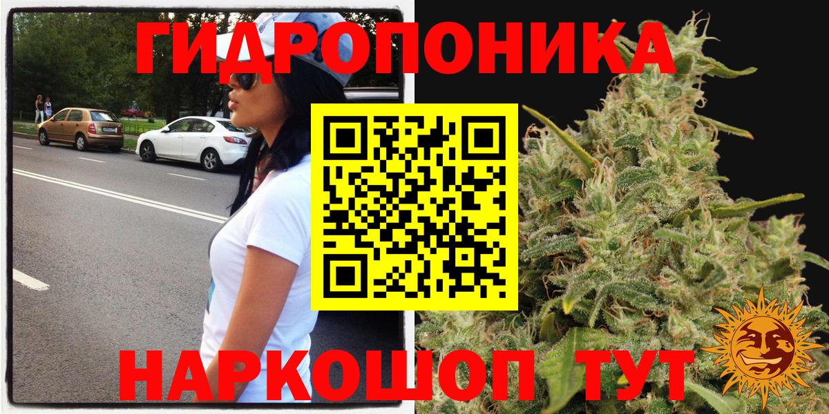 Марихуана индика  Бошки Шишки OG Kush  Вход с VPN  Шишки марихуана планчик  Батайск 